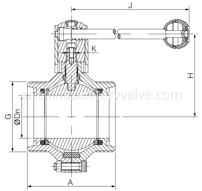 DIN Hygienic Butterfly-type Ball Valve Male Connection